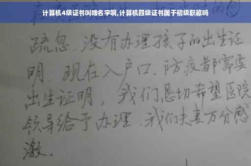 计算机4级证书叫啥名字啊,计算机四级证书属于初级职称吗