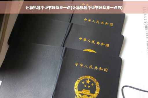 计算机哪个证书好就业一点(计算机哪个证书好就业一点的)
