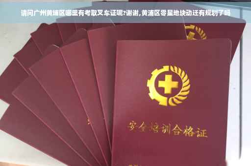请问广州黄埔区哪里有考取叉车证呢?谢谢,黄浦区零星地块动迁有规划了吗