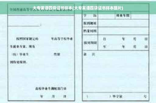 大专英语四级证书样本(大专英语四级证书样本图片)