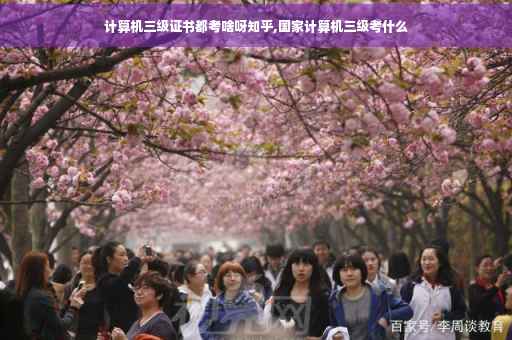 计算机三级证书都考啥呀知乎,国家计算机三级考什么