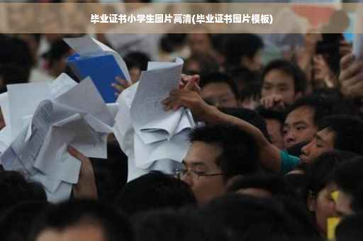 毕业证书小学生图片高清(毕业证书图片模板)