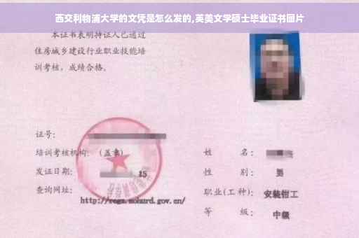 西交利物浦大学的文凭是怎么发的,英美文学硕士毕业证书图片