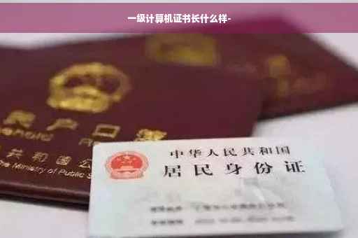 一级计算机证书长什么样-