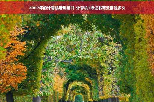 2007年的计算机培训证书-计算机1级证书有效期是多久
