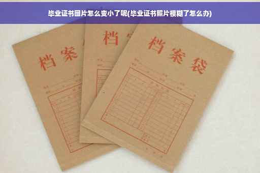 毕业证书图片怎么变小了呢(毕业证书照片模糊了怎么办)