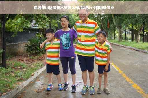 盐城东山精密技术员怎么样,盐城3+4有哪些专业
