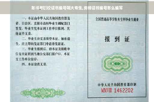 怎样考职校证书编号呢大专生,资格证书编号怎么编写 怎样考职校证书编号呢大专生,资格证书编号怎么编写
