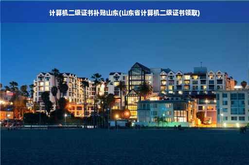 计算机二级证书补贴山东(山东省计算机二级证书领取)