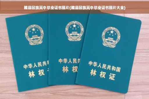 睢县回族高中毕业证书图片(睢县回族高中毕业证书图片大全)