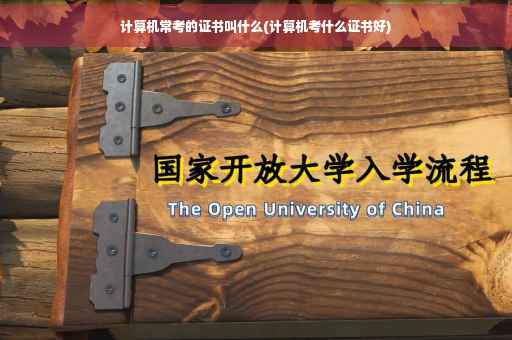 计算机常考的证书叫什么(计算机考什么证书好)