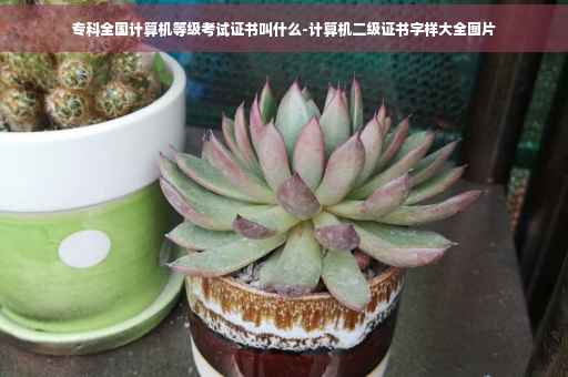 专科全国计算机等级考试证书叫什么-计算机二级证书字样大全图片