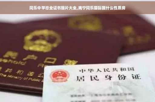 同乐中学毕业证书图片大全,南宁同乐国际属什么性质房