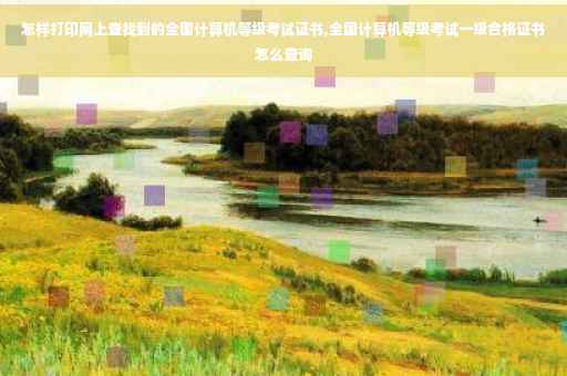 怎样打印网上查找到的全国计算机等级考试证书,全国计算机等级考试一级合格证书怎么查询