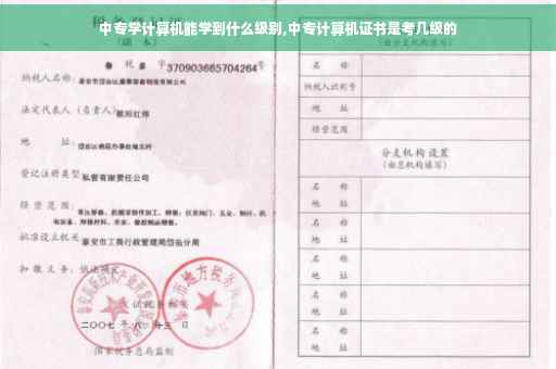 中专学计算机能学到什么级别,中专计算机证书是考几级的