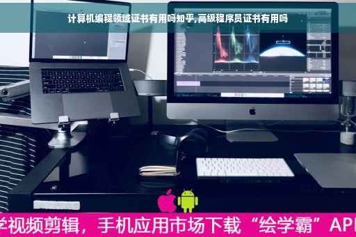 计算机编程领域证书有用吗知乎,高级程序员证书有用吗