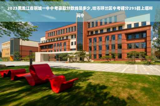 2023黑龙江省啊城一中中考录取分数线是多少,哈市呼兰区中考裸分295能上哪所高中