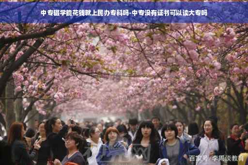 中专辍学能花钱就上民办专科吗-中专没有证书可以读大专吗