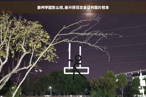 泰州学院怎么样,泰兴师范毕业证书图片样本