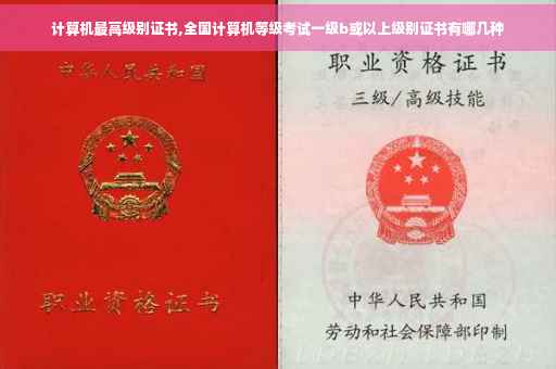 计算机最高级别证书,全国计算机等级考试一级b或以上级别证书有哪几种