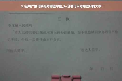 3➕证书广东可以报考哪些学校,3+证书可以考哪些好的大学