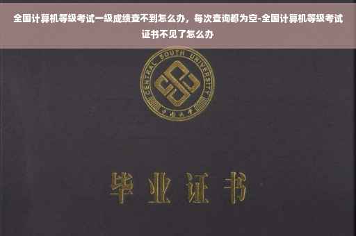 全国计算机等级考试一级成绩查不到怎么办，每次查询都为空-全国计算机等级考试证书不见了怎么办