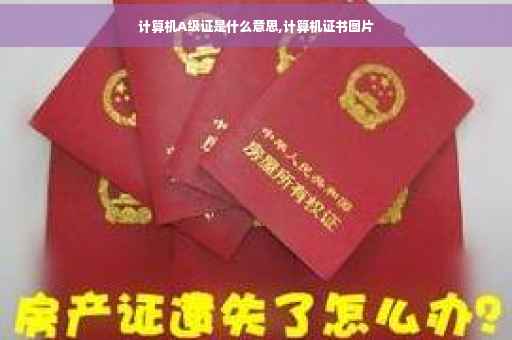 计算机A级证是什么意思,计算机证书图片