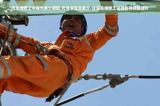 汽车维修工中级为多少级别,代号字母是多少-计算机维修工证书各种级别图片