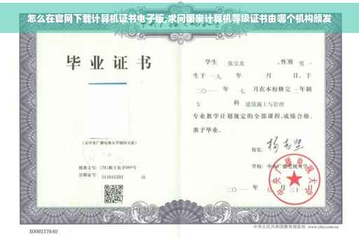 怎么在官网下载计算机证书电子版,求问国家计算机等级证书由哪个机构颁发
