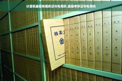 计算机编程有哪类证书有用的,编程考级证书有用吗