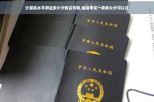 计算机水平测试多少分有证书啊,编程考试一级多少分可以过