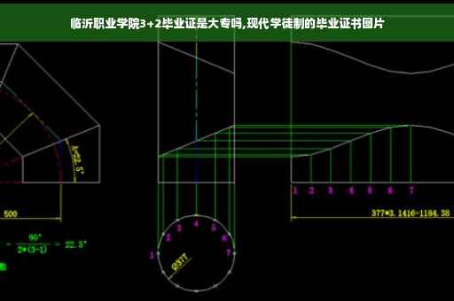 临沂职业学院3+2毕业证是大专吗,现代学徒制的毕业证书图片