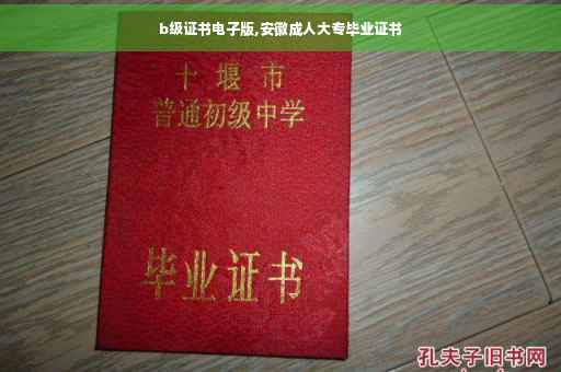 b级证书电子版,安徽成人大专毕业证书