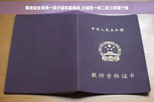 网络安全素质一级计算机题难吗,计算机一级二级三级哪个难