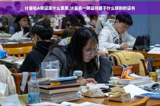 计算机A级证是什么意思,计算机一级证书属于什么级别的证书