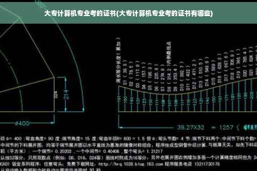大专计算机专业考的证书(大专计算机专业考的证书有哪些)