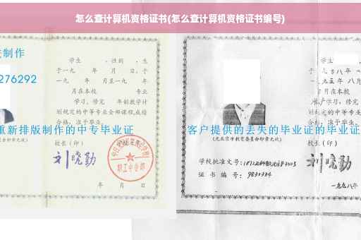 怎么查计算机资格证书(怎么查计算机资格证书编号)