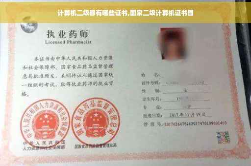 计算机二级都有哪些证书,国家二级计算机证书图
