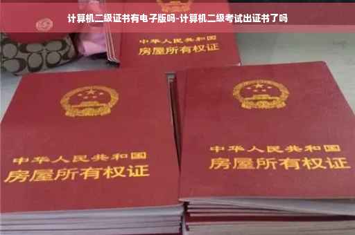计算机二级证书有电子版吗-计算机二级考试出证书了吗