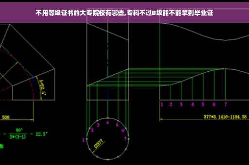 不用等级证书的大专院校有哪些,专科不过B级能不能拿到毕业证