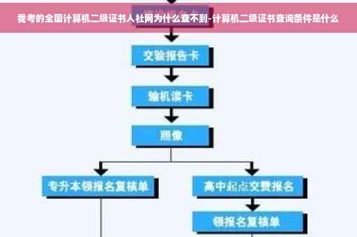 我考的全国计算机二级证书人社网为什么查不到-计算机二级证书查询条件是什么