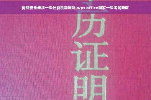网络安全素质一级计算机题难吗,wps office国家一级考试难度