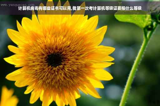 计算机病毒有哪些证书可以用,我第一次考计算机等级证要报什么等级