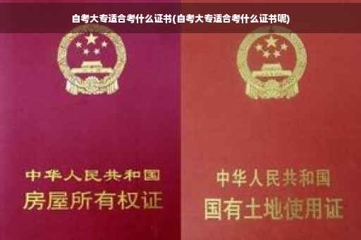 自考大专适合考什么证书(自考大专适合考什么证书呢)