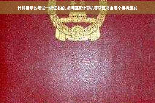 计算机怎么考试一级证书的,求问国家计算机等级证书由哪个机构颁发