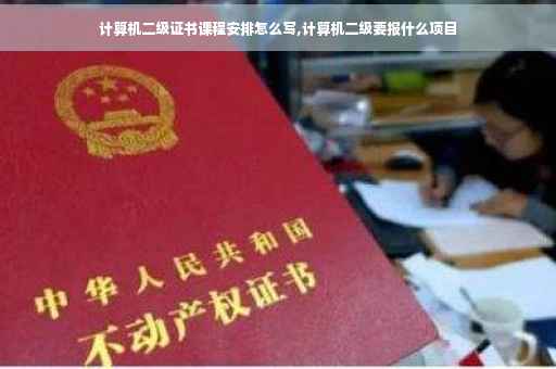 计算机二级证书课程安排怎么写,计算机二级要报什么项目