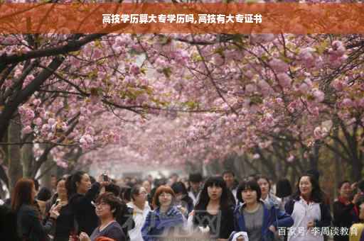 高技学历算大专学历吗,高技有大专证书