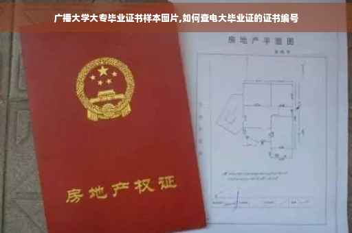 广播大学大专毕业证书样本图片,如何查电大毕业证的证书编号