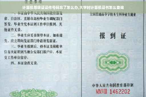 计算机等级证证件号码忘了怎么办,大学时计算机证书怎么查询