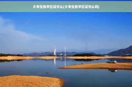 大专生有学历证书么(大专生有学历证书么吗)